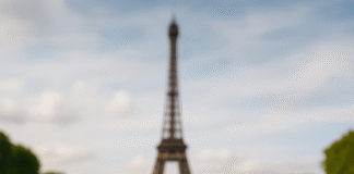 cheeses to taste in Paris