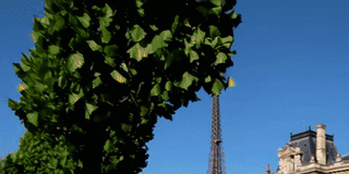 Bienvenidos a City-Paris – Guía en español para preparar tu viaje a París