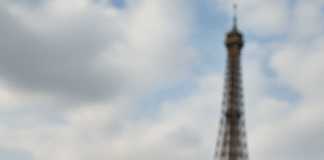 Rats in Paris,